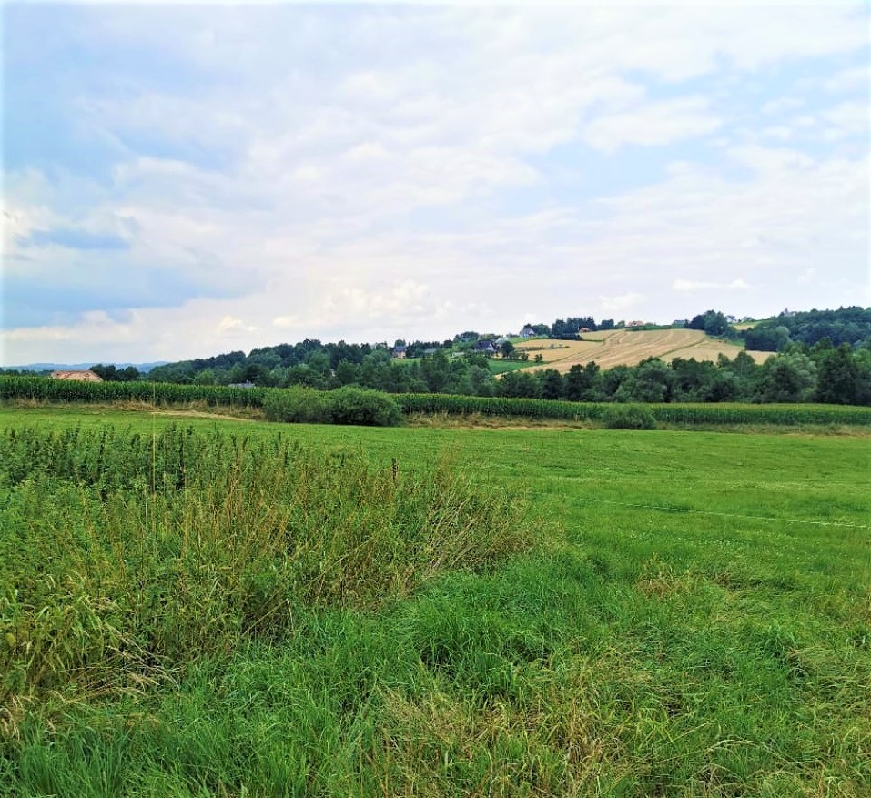 Działka pod hipotekę